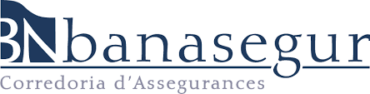 Image of Banasegur Group Company Logo