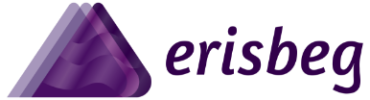 Image of Erisbeg Company Logo