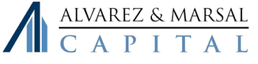 Image of A&M Capital Europe Company Logo